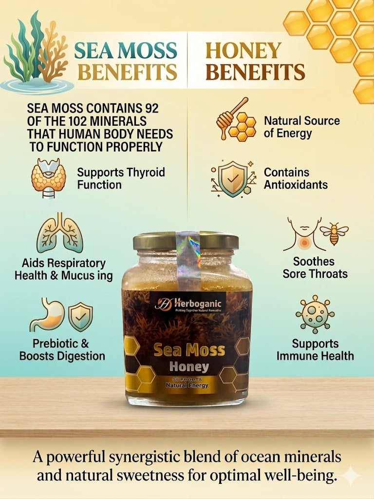 Sea Moss Honey